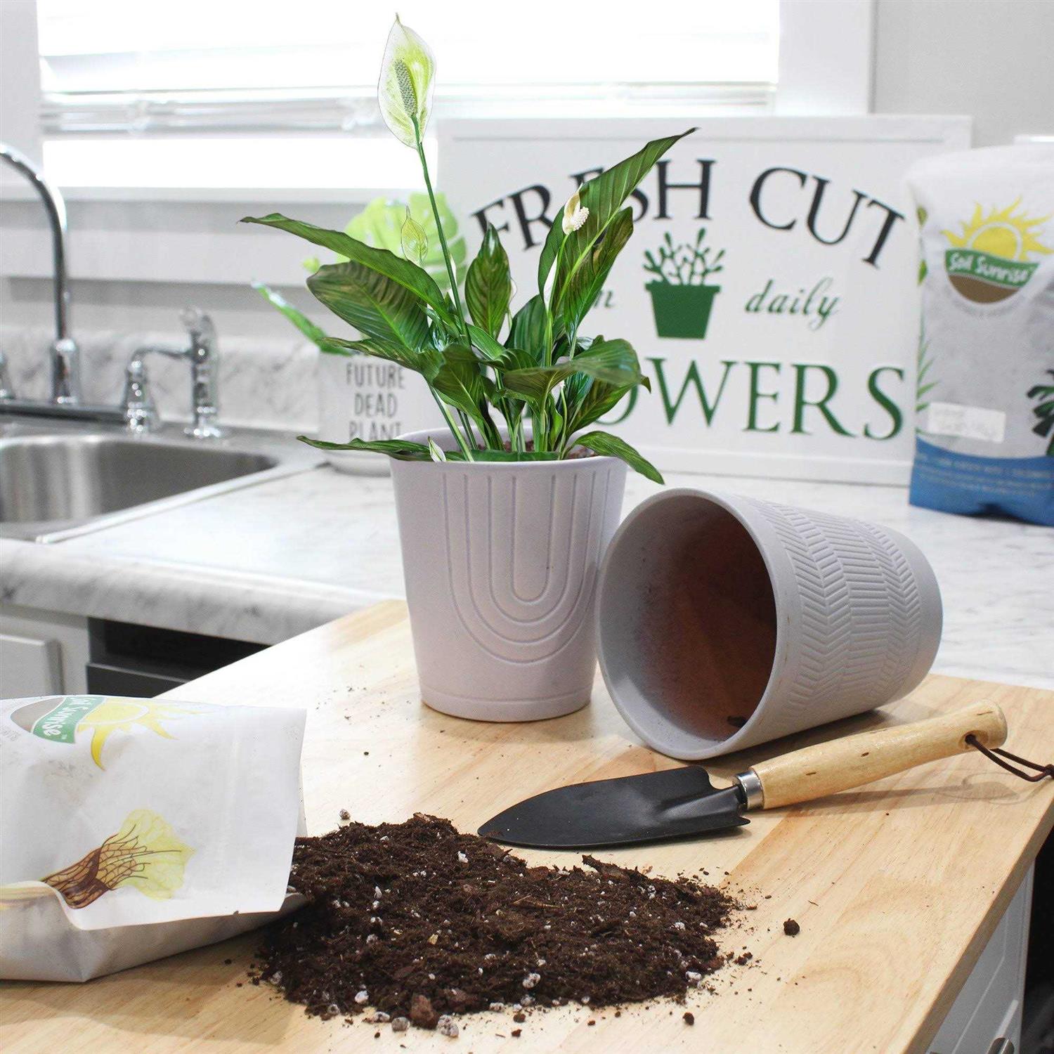 Soil Sunrise Peace Lily Potting Soil Mix - Image 4