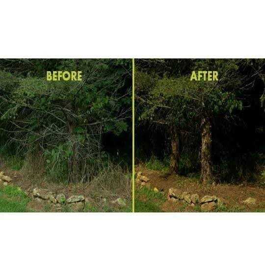 Sun Joe Multi-Angle Electric Multi-Angle Pole Chain Saw - Image 2