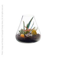 texxture Boboli Glass Terrarium