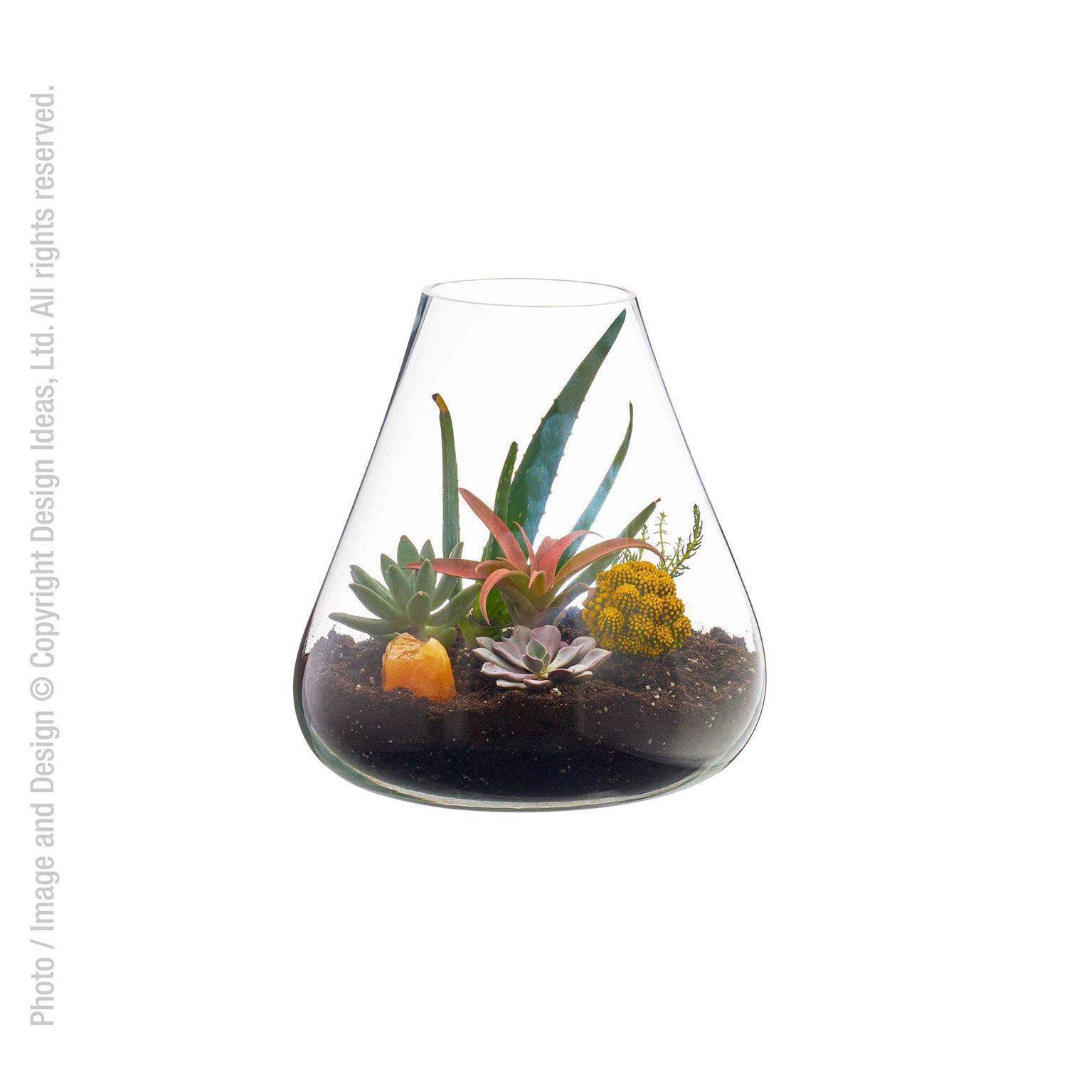 texxture Boboli Glass Terrarium
