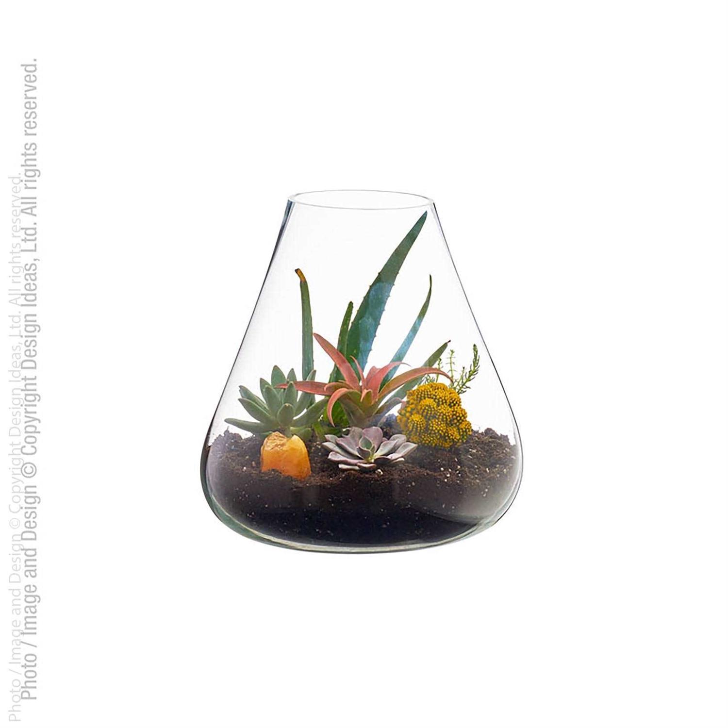 texxture Boboli Glass Terrarium - Image 2