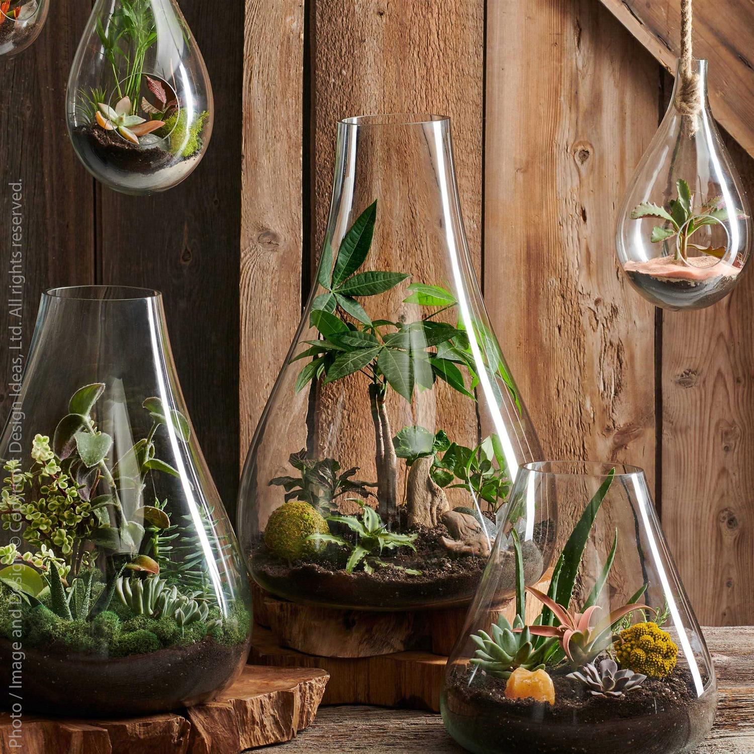texxture Boboli Glass Terrarium - Image 4