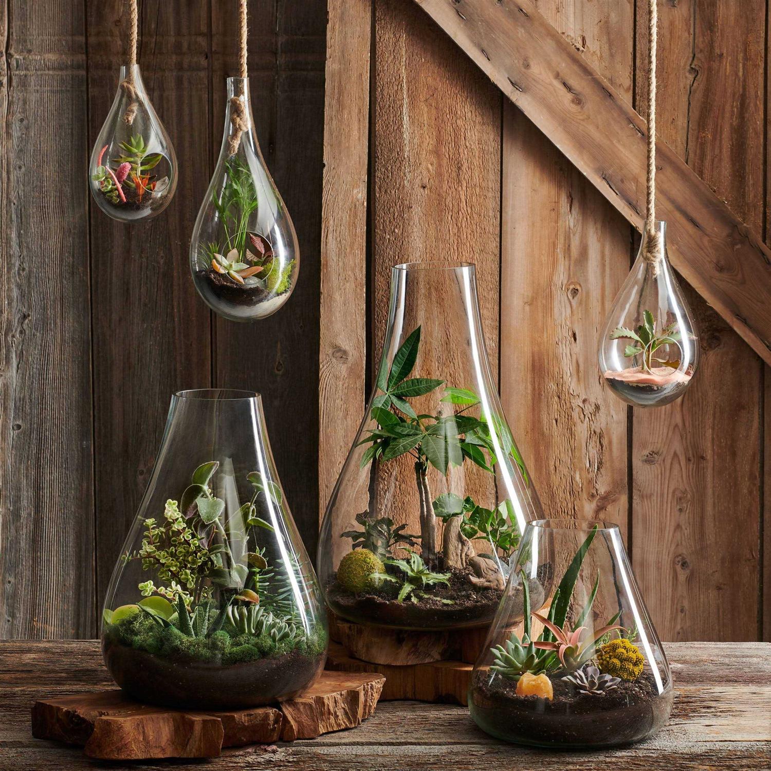 texxture Boboli Glass Terrarium - Image 5