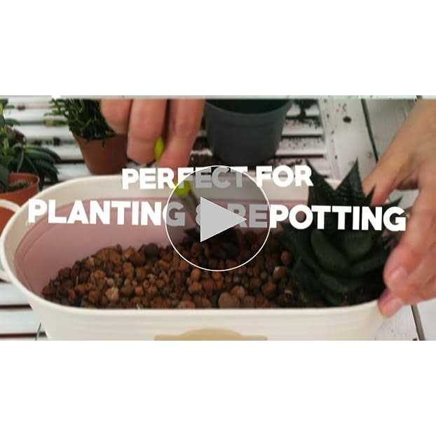 Soil Sunrise Lucky Bamboo Plant Potting Mix - Image 4