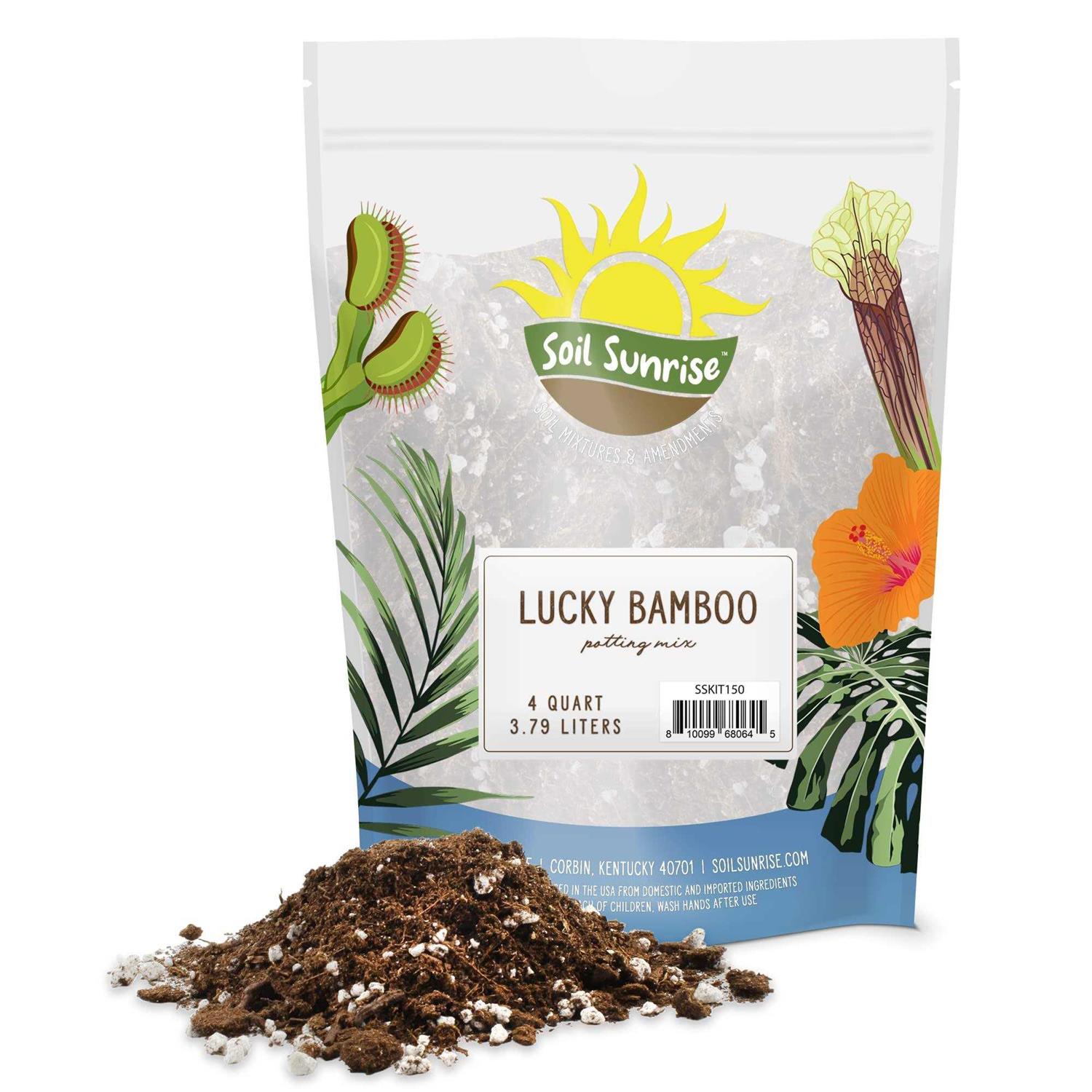Soil Sunrise Lucky Bamboo Plant Potting Mix