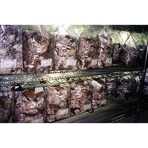 Unicorn Bag Mushroom Growers - Image 2