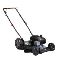 Senix 21 In. 125cc 2-In-1 Push Gas Lawn Mower