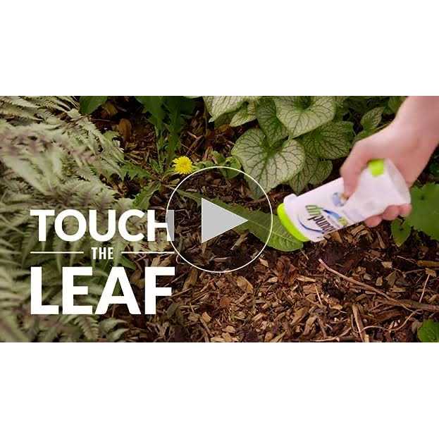 Roundup 5200313 Precision Gel 5 oz. Weed and Grass Killer - Image 4