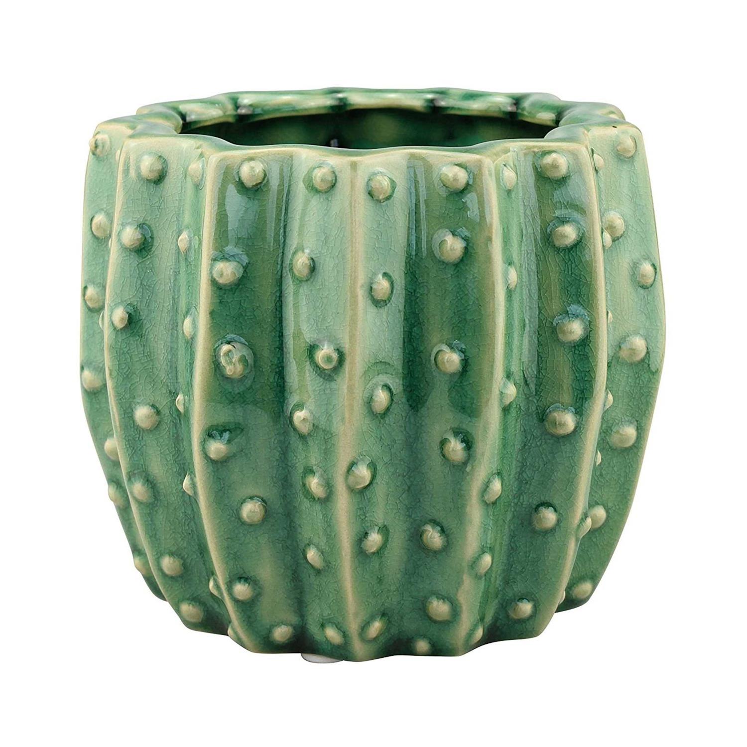 Stonebriar Collection Ceramic Cactus Planter