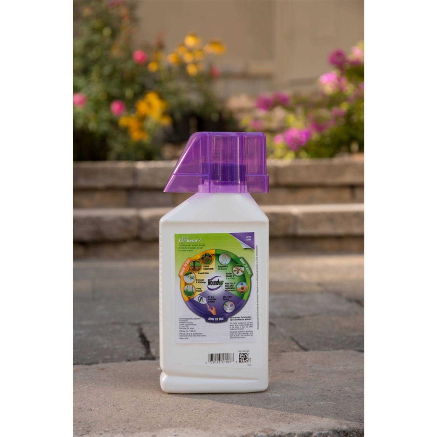 Roundup Concentrate Weed Grass Killer - Image 2