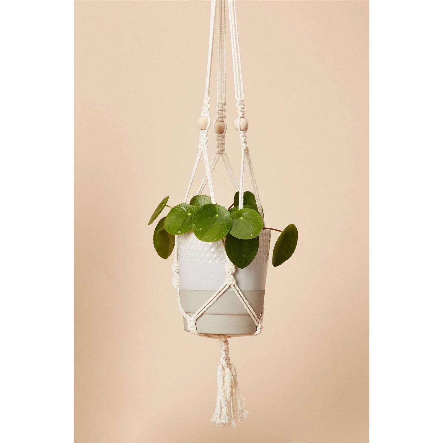 Suck UK Hang Time DIY Macrame Plant Pot Hanger - Image 3