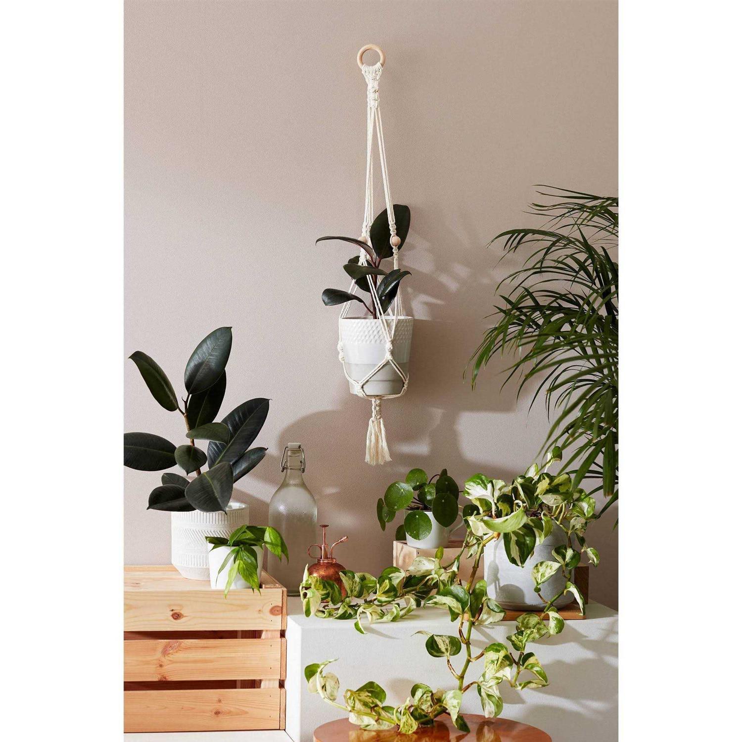 Suck UK Hang Time DIY Macrame Plant Pot Hanger - Image 4