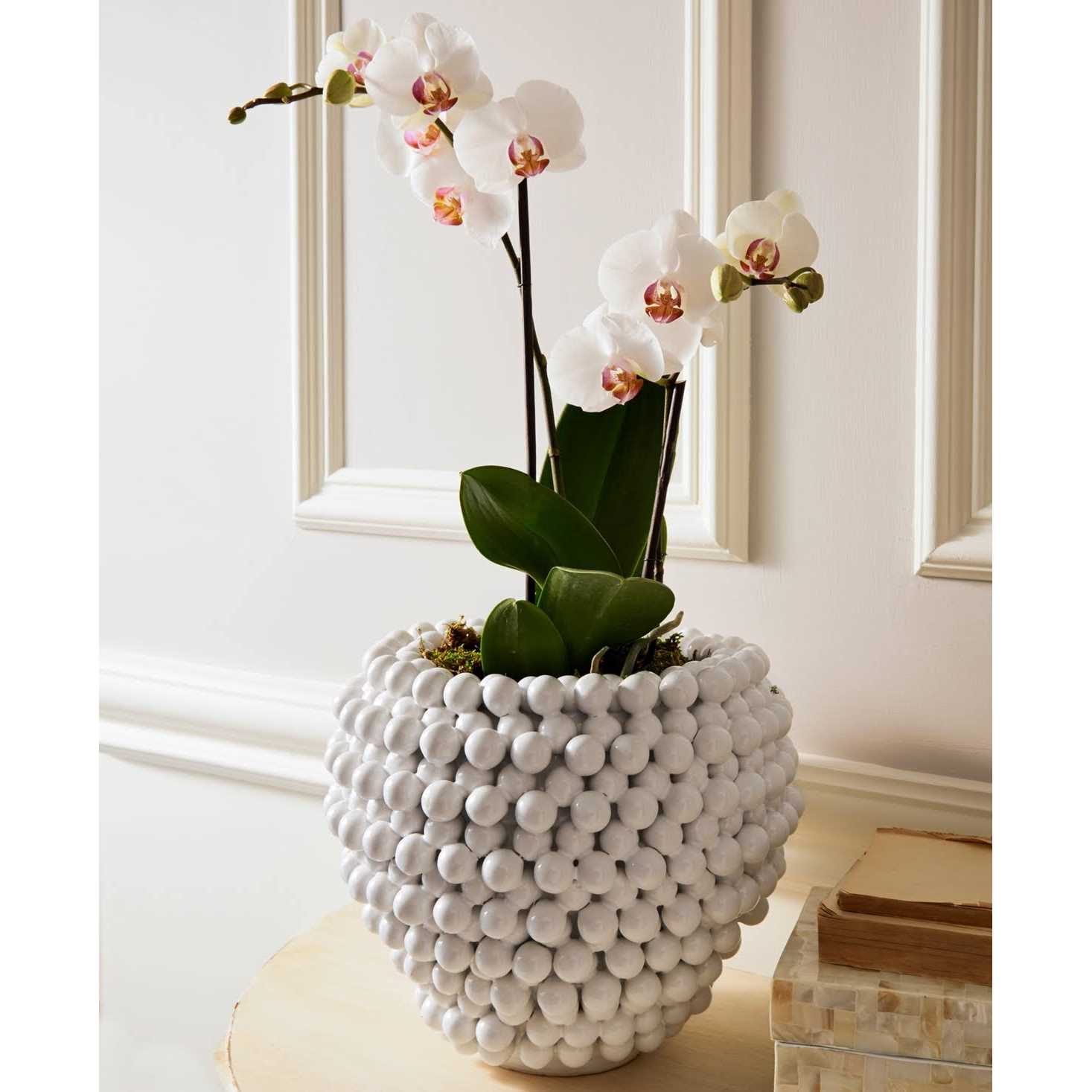 Tozai Home Pompon Vase/Planter - Image 5