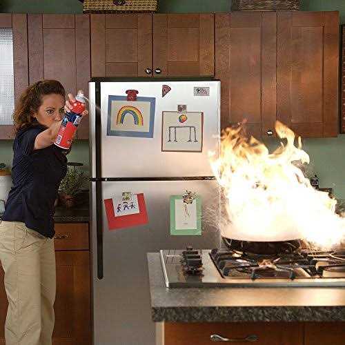 First Alert Tundra Fire Extinguishing Spray - Image 2