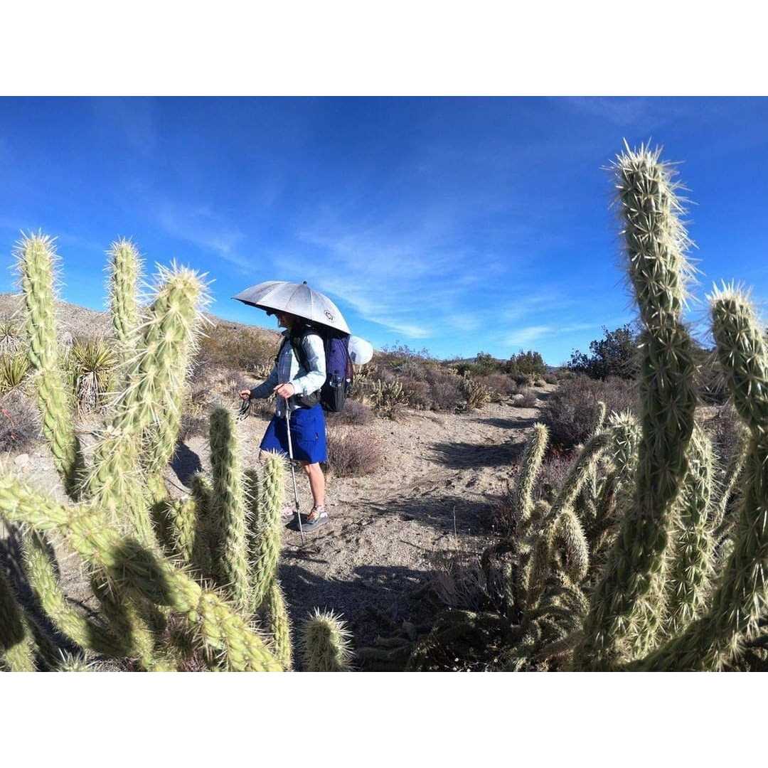 Six Moon Designs Silver Shadow Umbrella - Image 5