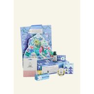 The Body Shop The Advent of Change