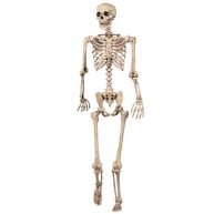Skeleton Poseable Halloween Decoration