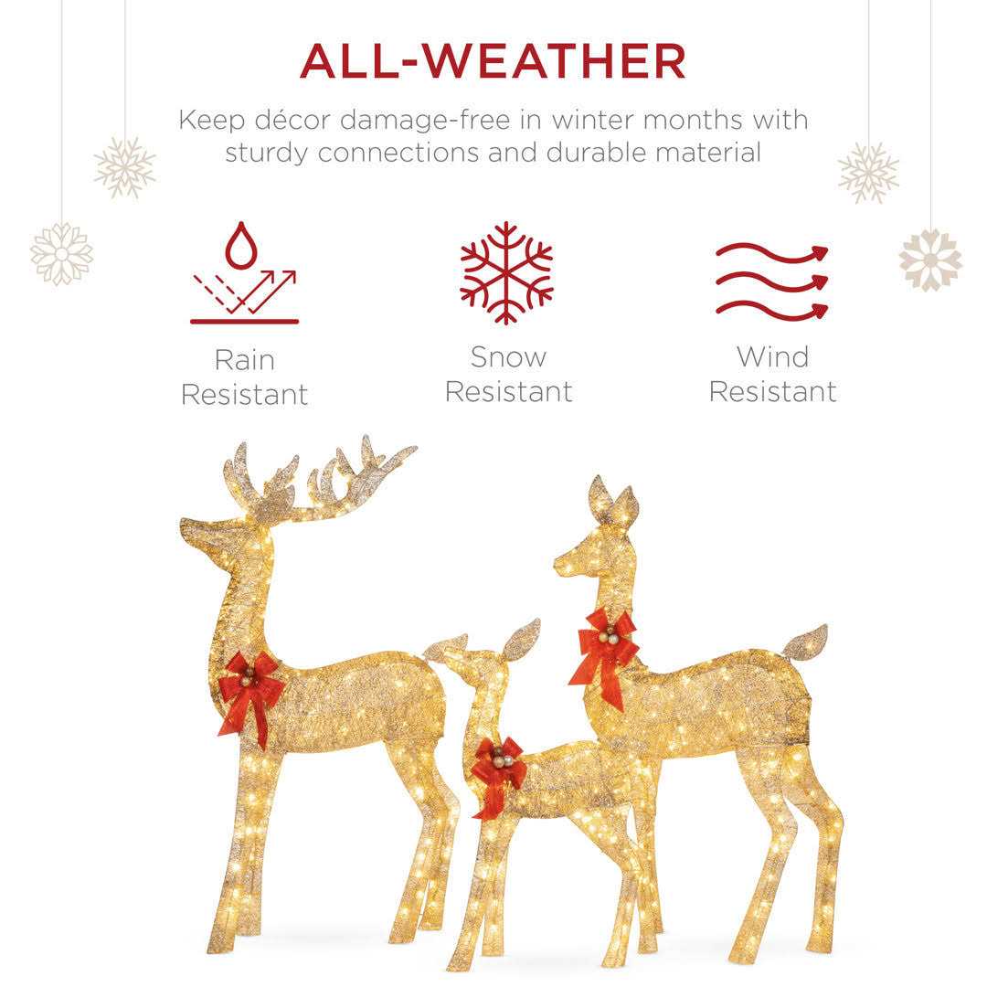 The Holiday Aisle® 3 Piece Christmas Deer Light Display Set - Image 2