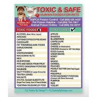 Tlc Safety By Design 5.5” x 8.5” Toxic Harmful and Safe Foods for Pets Fridge Safety Magnet Dogs Cats Poison Emergency Veterinarian Approved