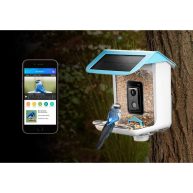 Video Bird Feeder Camera Solar Powered AI Bird Recognition