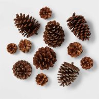 Wondershop 12ct Pinecone Decorative Filler Natural/Glitter