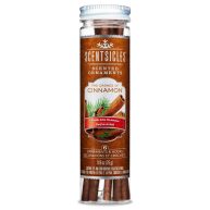 Scentsicles Two Dashes of Cinnamon 6-Count