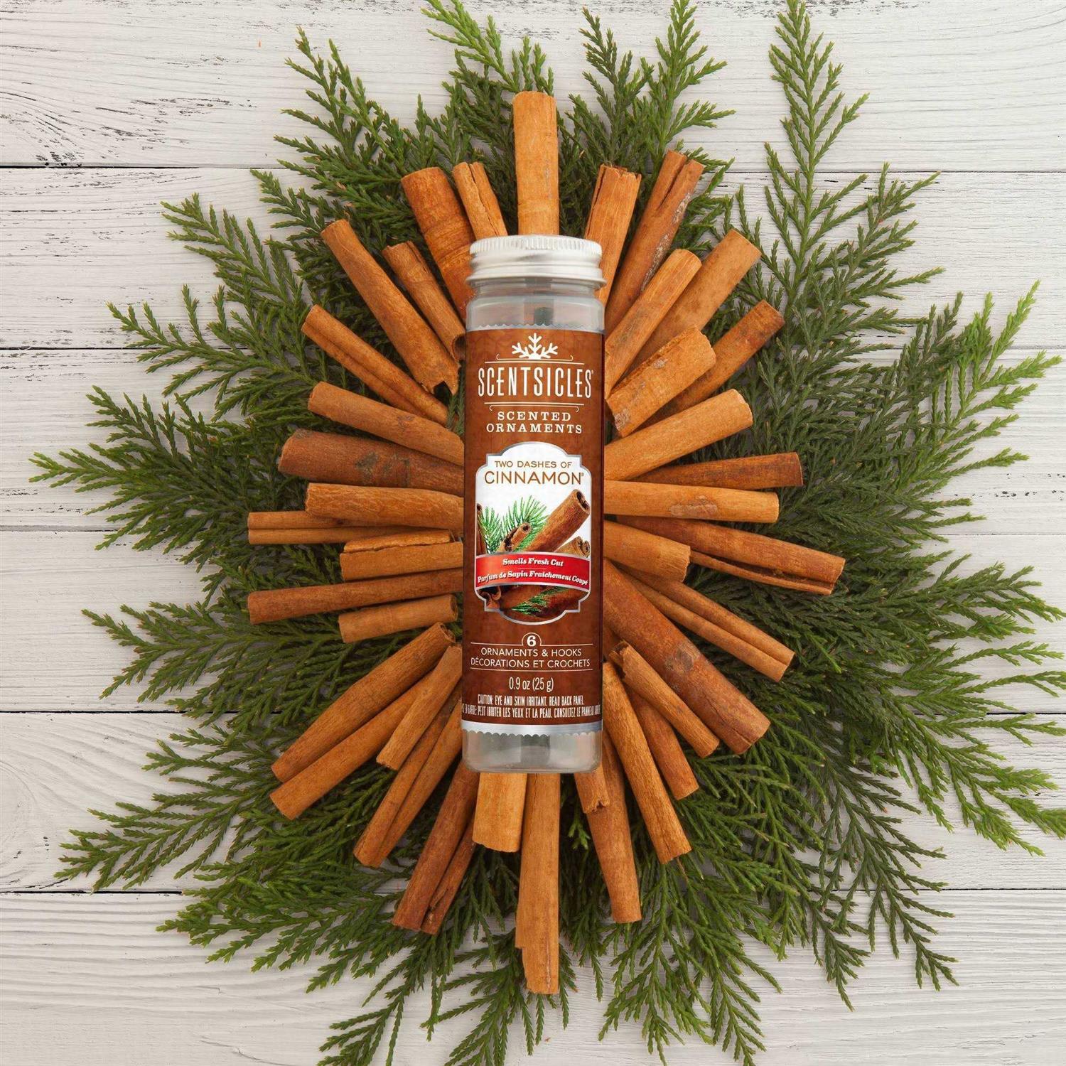 Scentsicles Two Dashes of Cinnamon 6-Count - Image 2