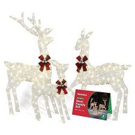 Sewanta Lighted with 365 Led Lights