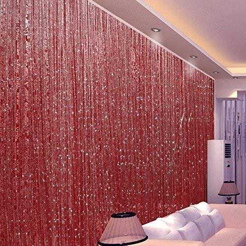 Topixdeals Rare Flat Silver Ribbon Door String Curtain Thread Fringe Window Panel Room Divider Cute Strip Tassel Party Events - Image 5