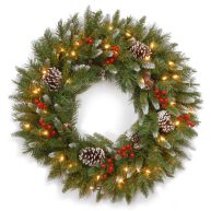 The Holiday Aisle® Torrens Frosted Berry Lighted PVC Wreath